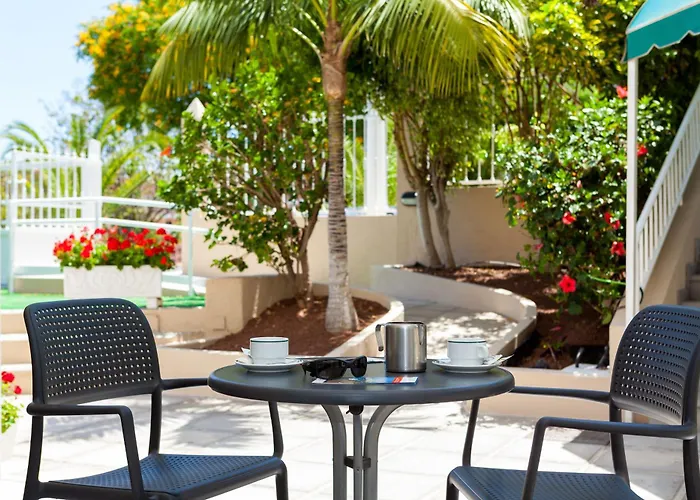 Dragos Del Norte Puerto de la Cruz (Tenerife)