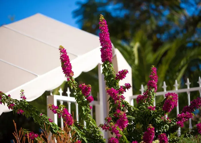 Apartamento Dragos Del Norte Puerto de la Cruz (Tenerife)