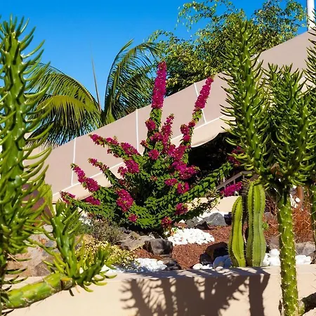 Dragos Del Norte Lägenhet *