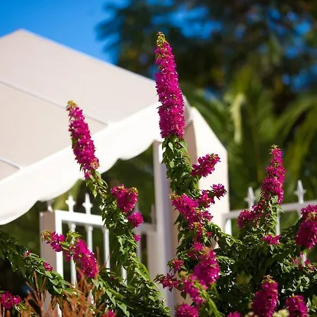 Lägenhet Dragos Del Norte Puerto de la Cruz (Tenerife)