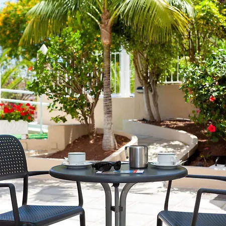 Dragos Del Norte Puerto de la Cruz (Tenerife)