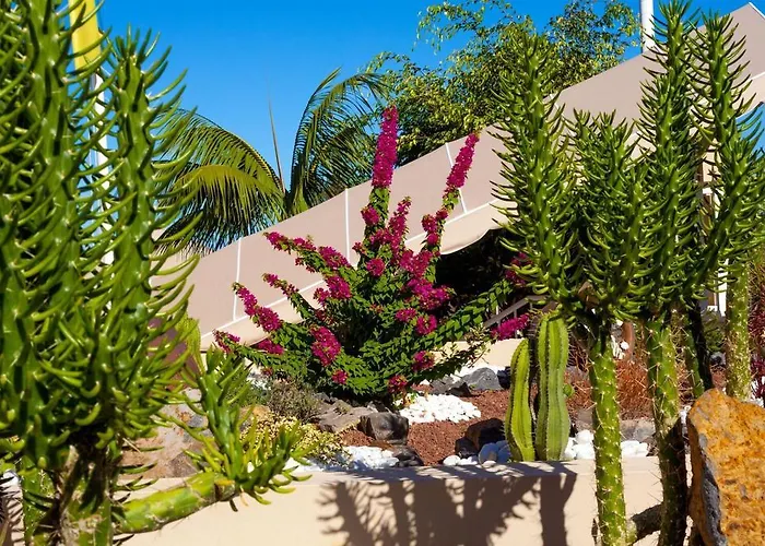 Dragos Del Norte Apartmán *